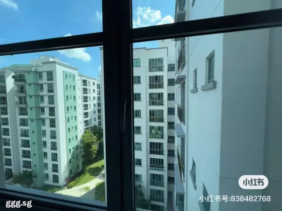 Room Rent • Bukit Merah •  Springdale Condo • S$1250 • 5-Room (4 BR) • Common Room Photo