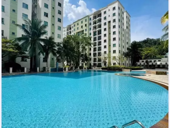 Room Rent • Bukit Merah •  Springdale Condo • S$1250 • 5-Room (4 BR) • Common Room Photo