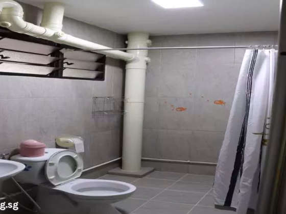 Room Rent • Sembawang • 898A Woodlands Drive 50 • S$800 • 4-Room (3 BR) • Common Room Photo