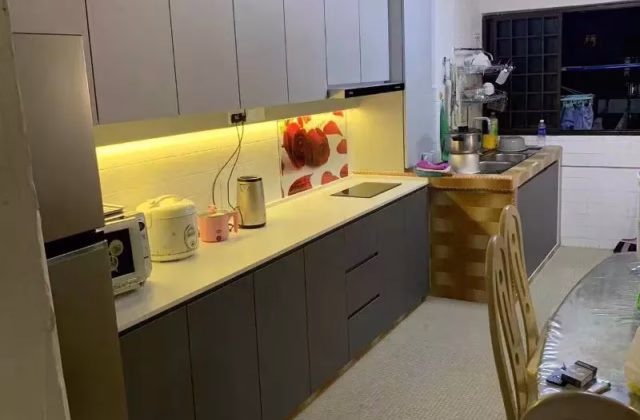 Room Rent • Newton • 102 Jalan Rajah • S$1200 • 4-Room (3 BR) • Common Room