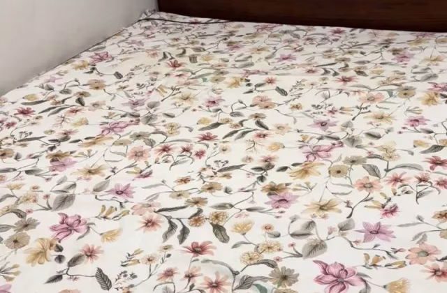 Room Rent • Clementi • 55 Telok Blangah Drive • S$720 • 3-Room (2 BR) • Maid Room