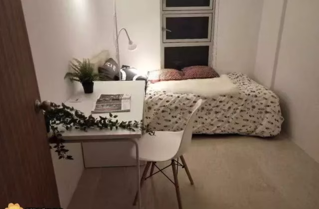 Room Rent • Newton •  Novena Court • S$1100 • Apartment • Maid Room