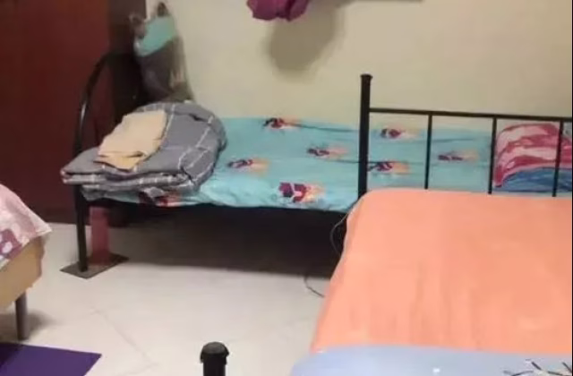 Room Rent • Orchard • 319 Ang Mo Kio Avenue 1 • S$550 • 3-Room (2 BR) • Room Sharing