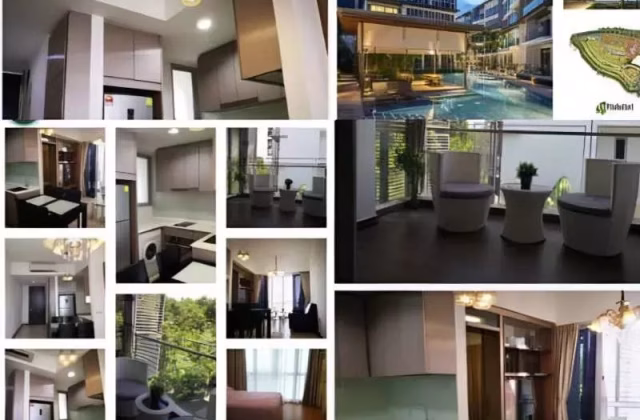 House Rent • Bukit Timah •  Euhabitat • S$3100 • Apartment • 569ft² / 52m²
