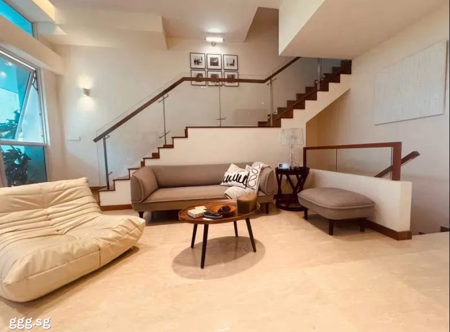 House Sale • Orchard •  Cabana • S$3000000 • Cluster House •  Photo