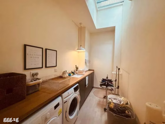 House Sale • Orchard •  Cabana • S$3000000 • Cluster House •  Photo