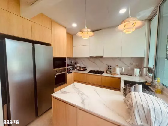House Sale • Orchard •  Cabana • S$3000000 • Cluster House •  Photo