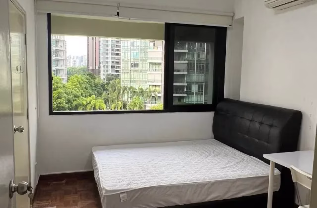 Room Rent • Newton •  Visin Apartment • S$1200 • Apartment • Common Room