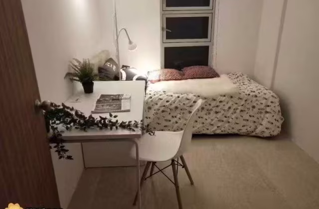 Room Rent • Newton •  Balestier Point • S$1100 • Apartment • Common Room