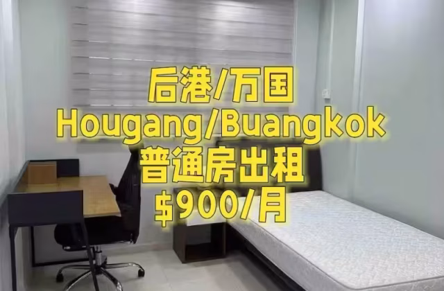 Room Rent • Singapore River • 553 Hougang Street 51 • S$900 • 4-Room (3 BR) • Common Room