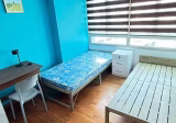 Room Rent • Changi • 301B Punggol Central • S$550 • 4-Room (3 BR) • Common Room