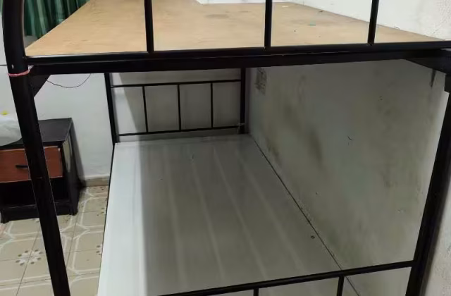 Room Rent • Bukit Timah •  Opera Estate • S$460 • 3-Room (2 BR) • Room Sharing