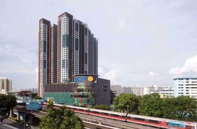 Room Rent • Bukit Panjang • 441B Clementi Avenue 3 • S$99 • 4-Room (3 BR) • Common Room