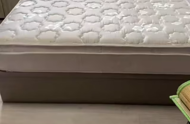 Room Rent • Lim Chu Kang • 671A Jurong West Street 65 • S$1000 • 3-Room (2 BR) • Common Room