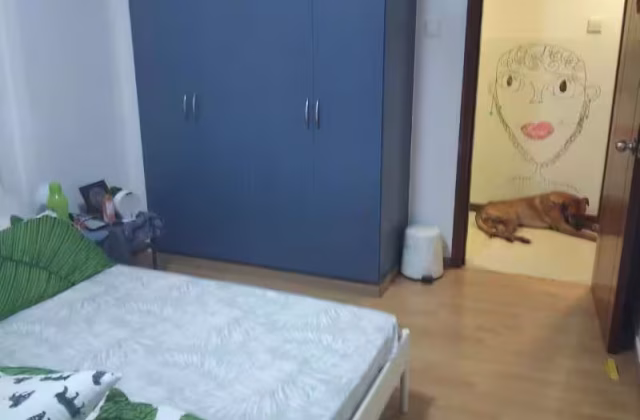 Room Rent • Singapore River •  The Florida • S$1000 • Apartment • Common Room