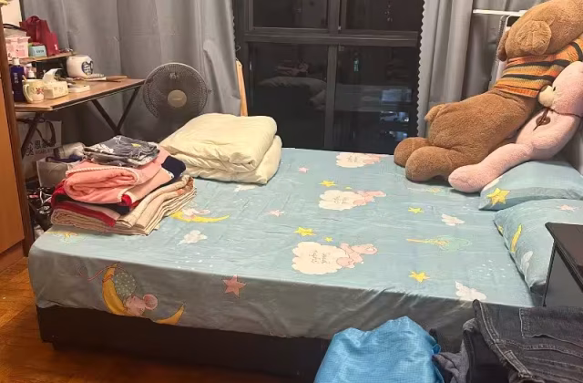 Room Rent • Geylang •  Regent Grove • S$950 • Apartment • Common Room
