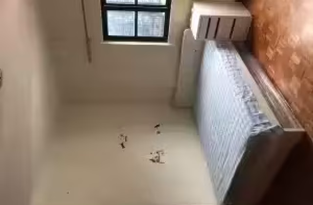 Room Rent • Newton •  Shan Gate Apartments • S$1650 • Apartment • Master Room
