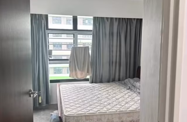 Room Rent • Western Water Catchment • 601C Tampines Avenue 9 • S$1100 • 4-Room (3 BR) • Common Room