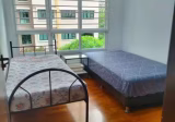 Room Rent • Sengkang • 287A Compassvale Crescent • S$550 • 4-Room (3 BR) • Room Sharing