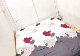 Room Rent • Bukit Panjang • 504 West Coast Drive • S$800 • 3-Room (2 BR) • Maid Room