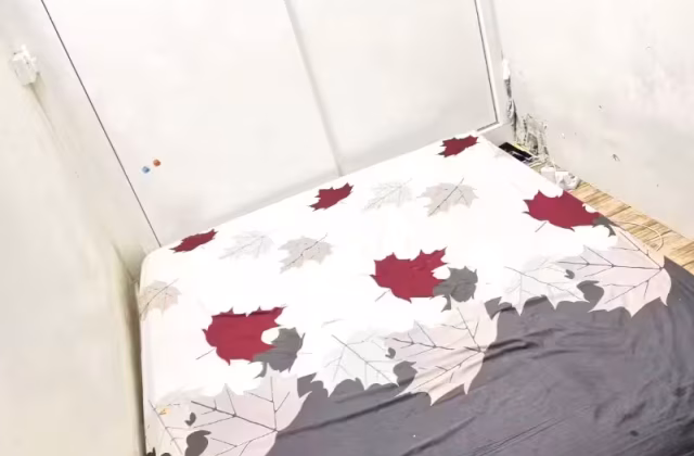 Room Rent • Bukit Panjang • 504 West Coast Drive • S$800 • 3-Room (2 BR) • Maid Room