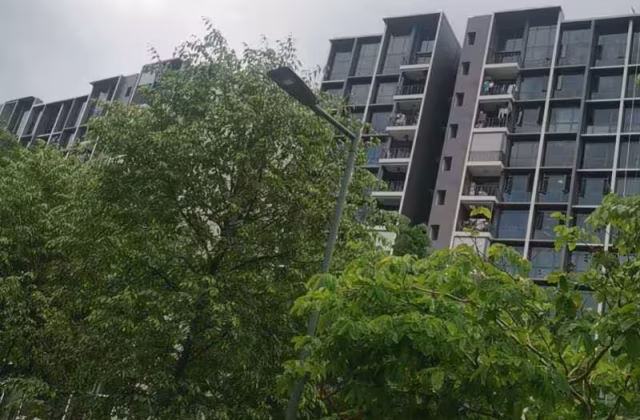 Room Rent • Western Water Catchment •  Tenet • S$550 • Condo • Maid Room