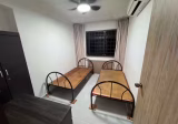 Room Rent • Sembawang • 733 Woodlands Circle • S$500 • 3-Room (2 BR) • Room Sharing