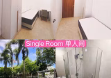 Room Rent • Geylang •  Casero @ Dunman • S$900 • Apartment • Common Room