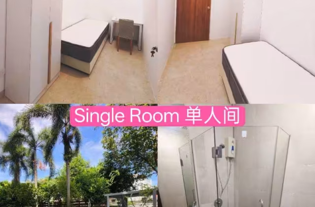 Room Rent • Geylang •  Casero @ Dunman • S$900 • Apartment • Common Room
