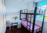 Room Rent • Bukit Timah •  The Champagne • S$650 • Apartment • Common Room