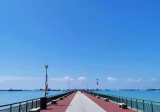 Room Rent • Bedok •  The Bayshore • S$1150 • Condo • Common Room