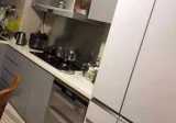 Room Rent • Tampines • 871A Tampines Street 84 • S$1200 • 4-Room (3 BR) • Maid Room