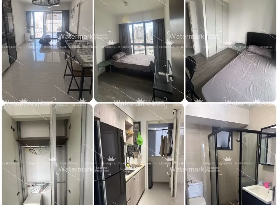 Room Rent • Clementi • 311A Clementi Avenue 4 • S$1400 • 4-Room (3 BR) • Common Room Photo