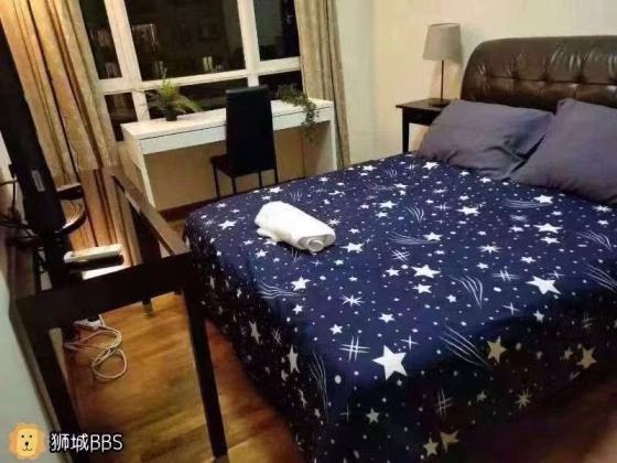 Room Rent • Novena •  Balestier Point • S$1100 • Apartment • Common Room Photo