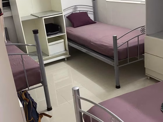 Room Rent • Geylang • 313 Ubi Avenue 1 • S$500 • 4-Room (3 BR) • Room Sharing Photo