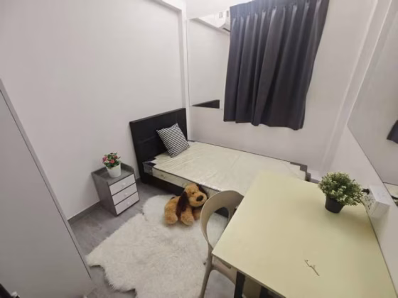 Room Rent • Novena •  Novena Court • S$1100 • Apartment • Common Room Photo