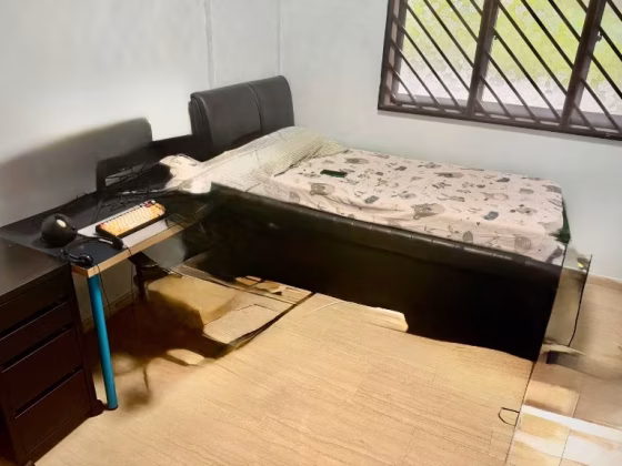 Room Rent • Bukit Merah • 48 Lengkok Bahru • S$700 • 4-Room (3 BR) • Common Room Photo