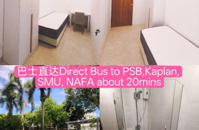 Room Rent • Geylang •  Casero @ Dunman • S$900 • Apartment • Common Room