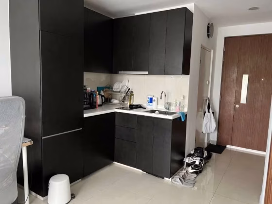 House Rent • Kallang •  M66 • S$3000 • Apartment • 495ft² / 45m² Photo