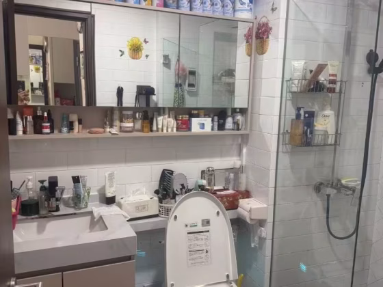 House Rent • Geylang •  Royce Residences • S$4200 • Apartment •  Photo