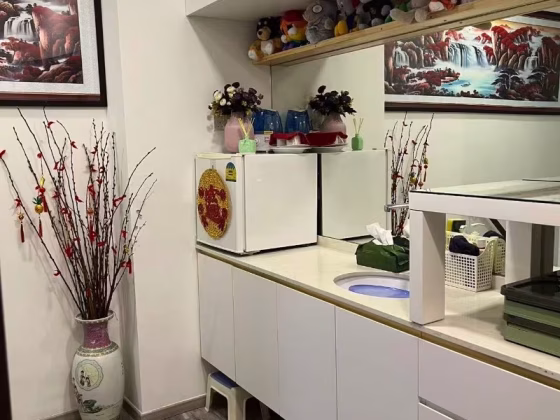 House Rent • Geylang •  Royce Residences • S$4200 • Apartment •  Photo