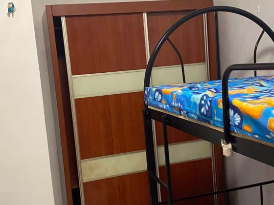 Room Rent • Sengkang • 247 Compassvale Road • S$550 • 4-Room (3 BR) • Room Sharing Photo
