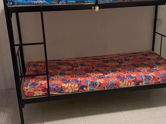 Room Rent • Sengkang • 247 Compassvale Road • S$550 • 4-Room (3 BR) • Room Sharing Photo