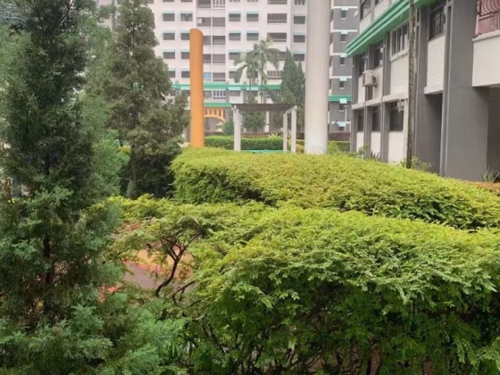 House Sale • Woodlands • 536 Woodlands Drive 14 • S$729000 • 3-Room (2 BR) • 1346ft² / 125m² Photo