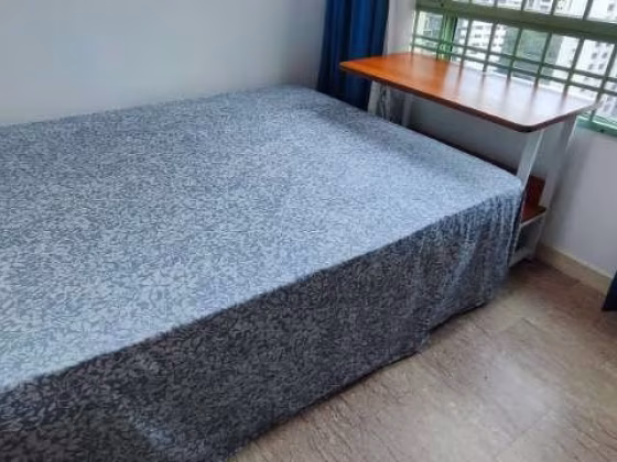 Room Rent • Singapore River •  Tiara • S$1350 • Condo • Common Room Photo